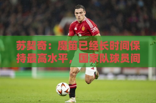 苏契奇：魔笛已经长时间保持最高水平，国家队球员间关系更紧密