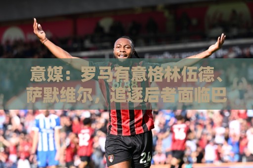 意媒：罗马有意格林伍德、萨默维尔，追逐后者面临巴黎曼联竞争