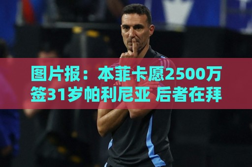 图片报:本菲卡愿2500万签31岁帕利尼亚 后者在拜仁基础年薪850万 图片报:本菲卡愿2500万签31岁帕利尼亚 后者在拜仁基础年薪850万