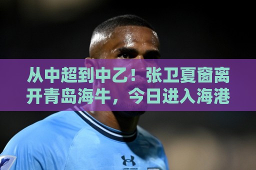 从中超到中乙!张卫夏窗离开青岛海牛,今日进入海港B队替补名单 从中超到中乙!张卫夏窗离开青岛海牛,今日进入海港B队替补名单