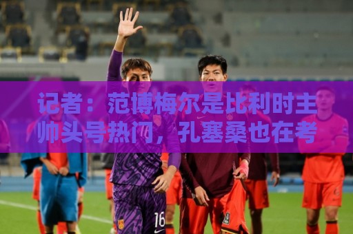 记者：范博梅尔是比利时主帅头号热门，孔塞桑也在考虑范围内