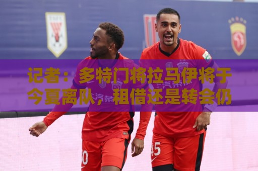 记者：多特门将拉马伊将于今夏离队，租借还是转会仍未确定