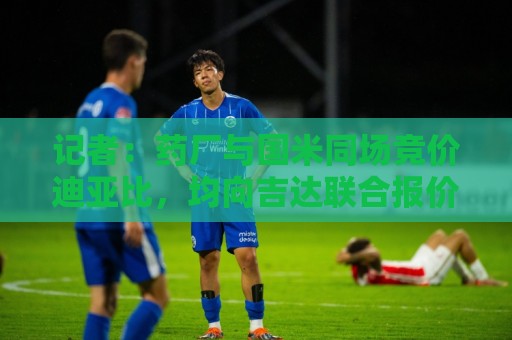 记者：药厂与国米同场竞价迪亚比，均向吉达联合报价约2000万欧